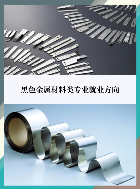 金属材料工程 黑色金属专业的多元就业前景探索